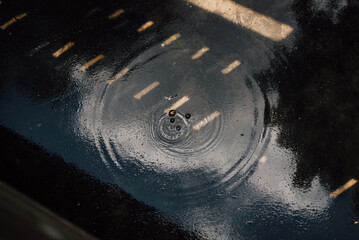 Calm Water with Air Bubbles on Lake