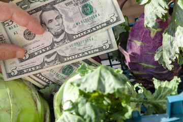 Hand holding dollars next to kohlrabi cabbage....