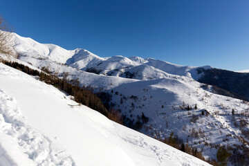 Fototapeta na wymiar View of winter landscape in Ponte di Legno