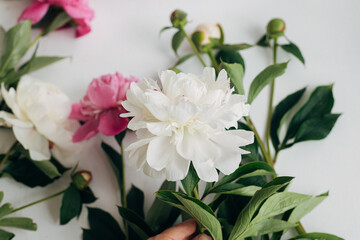 Hand holding beautiful peony on rustic background. Florist arranging fresh pink and white peony flowers on wooden background, moody image