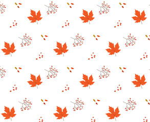Autumn pattern of maple and rowan leaves. Vector flat illustration on transparent background.