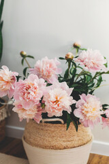Beautiful peonies bouquet in basket in modern boho room. Gentle pink peony flowers on rustic background, moody image. Modern bohemian decor, stylish comfy interior details