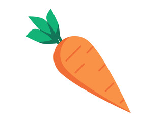 Raw carrot illustration with green leaf. Ready to eat vegetable isolated on a white background. Vector.