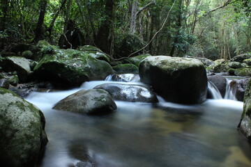Naklejka na ściany i meble Waterfall and flowing water in lush rainforesst. 