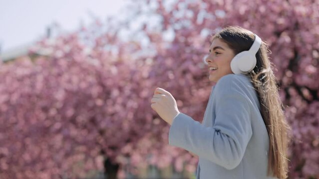 Carefree young woman with smartphone in hands listening music in headphones. Enjoy good quality sound. Cheerful brunette walking and dancing with background of spring sakura trees.