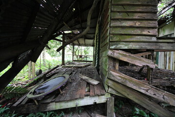Fototapeta na wymiar An abandoned house in the tropical rainforest. 