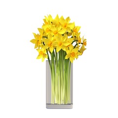 decorative flowers and plants for the interior,  isolated on white background, 3D illustration, cg render