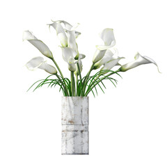 decorative flowers and plants for the interior,  isolated on transparent background, 3D illustration, cg render