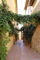 Summer in narrow old alley in Pienza, Tuscany Italy