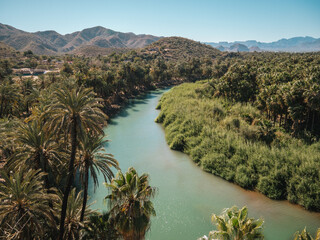 Oasis in Muleg&eacute;, Baja California, Mexico
