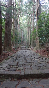 「Daimonzaka」の写真素材 193件の無料イラスト画像 Adobe Stock
