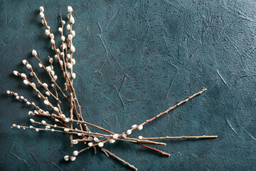 Fototapeta na wymiar Pussy willow branches on blue grunge background