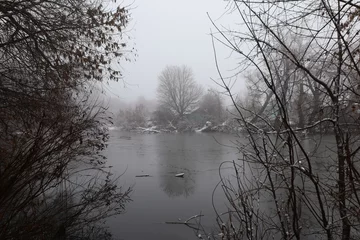 Foto auf Leinwand Winter foggy forest atmosphere © human_antithesis