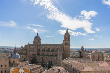 Obraz premium Spectacular views of the cathedral of Salamanca (Spain) on a summer day on vacation.