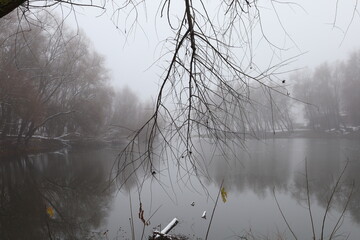Winter foggy forest atmosphere