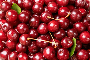 Sweet cherry macro photography close up. Selective focus. Drops of water on the surface of berries.