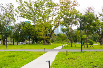 Cityscape view of Benjakitti Park with trees and skywalk, New beautiful garden in the city center.