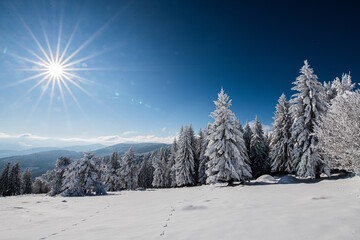Chemin enneigé dans les Vosges entre le lac du Forlet (lac des Truites) et Gazon du Faing