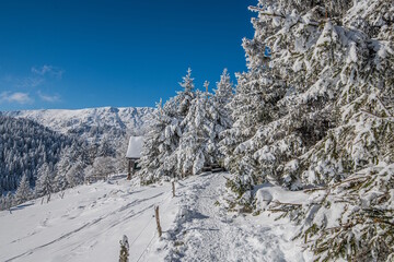 Chemin enneigé dans les Vosges entre le lac du Forlet (lac des Truites) et Gazon du Faing