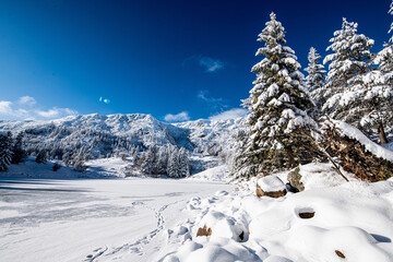 Chemin enneigé dans les Vosges entre le lac du Forlet (lac des Truites) et Gazon du Faing