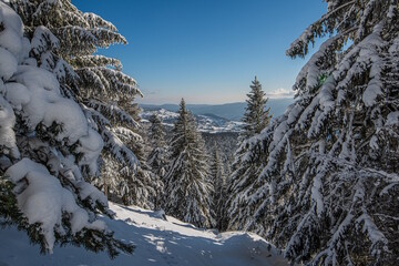 Chemin enneigé dans les Vosges entre le lac du Forlet (lac des Truites) et Gazon du Faing
