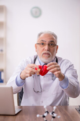 Old male cardiologist holding heart model
