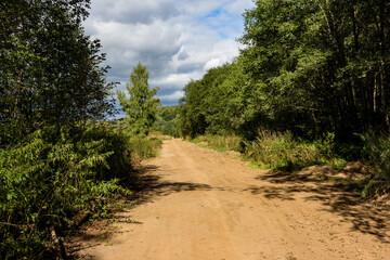 Fototapeta na wymiar Dirt road in a forest area on a summer day