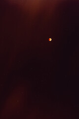 blood moon eclipse