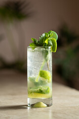 mojito cocktail with mint