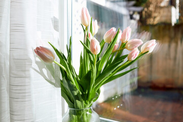 Bouquet of beautiful spring pink tulips in a vase on a windowsill on a sunny day