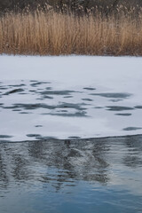 Minimalistic winter landscape of a steppe river with snow and a bank with dried reeds, a landscape in winter with a river