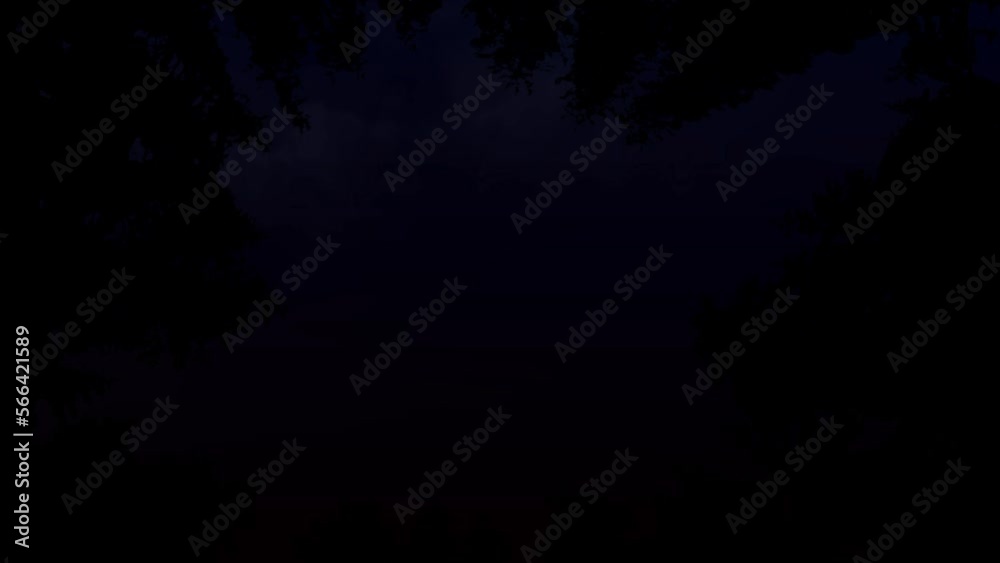 Wall mural pine forest silhouette with lightning sky 4k loop features lightning crackling in the sky with rolli