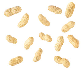 Organic peanuts in shell isolated on white background.