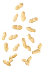 Falling peanut isolated on white background, clipping path.