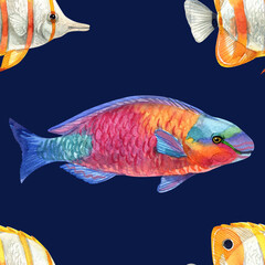 fish pattern watercolor. watercolor cute fish pattern. Watercolor cute animal.  Watercolor cute fish. Hand painting  isolated white background. fish