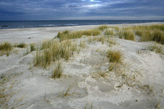 mooving dunes in the Slowinski National Park, Lebsko Lake, Pomerania, Poland