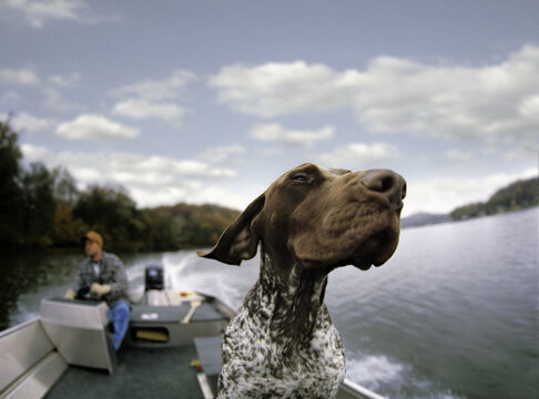 Happy dog riding on fishing boat.