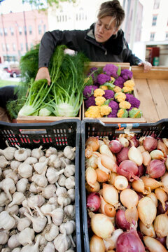 Farmer prepares fennel, cauliflower, garlic and onions.
