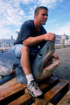A fisherman holds a dead shark's mouth open.
