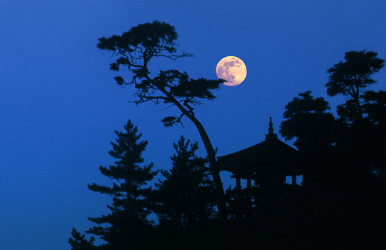 Pavilion overlooking Japanese Sea