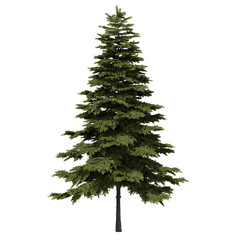 Pine spring tree 3d render