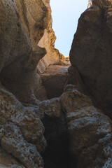 oasis in the desert canyon