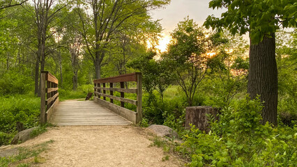 park path with bridge