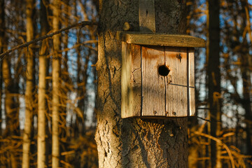 birdhouse .Wooden old birdhouse on a tree in a sunny spring park.House for birds. Bird care 
