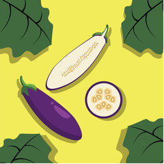 vector slice of purplle eggplant, cucumber, zukini with purple , yellow , white , and green combination color