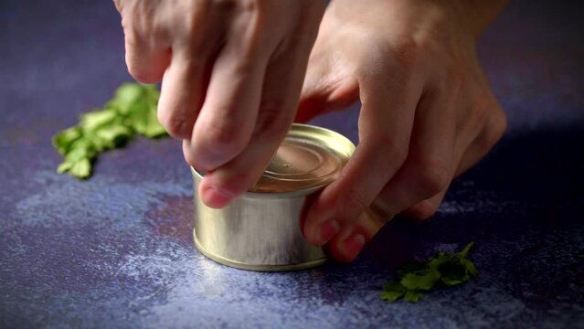 Hands opening a can of octopus with american sauce on a dark blue table with parsley. Ready to eat.