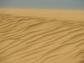 sand dunes in the desert