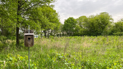 bird house in the park