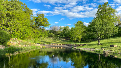 Fototapeta na wymiar pond in the country on bright spring day