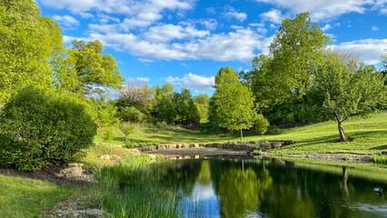 pond in the country on bright spring day